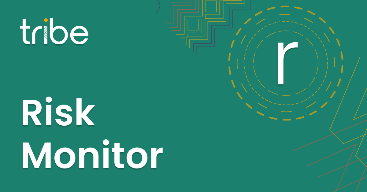 Risk Monitor-1