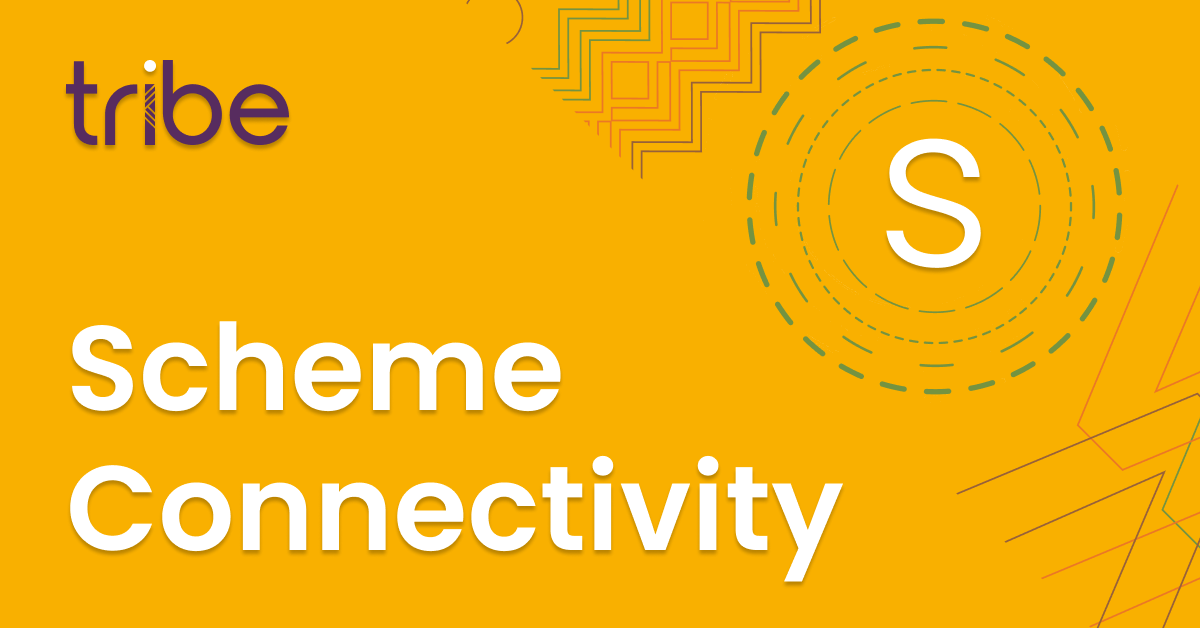 S, Scheme Connectivity