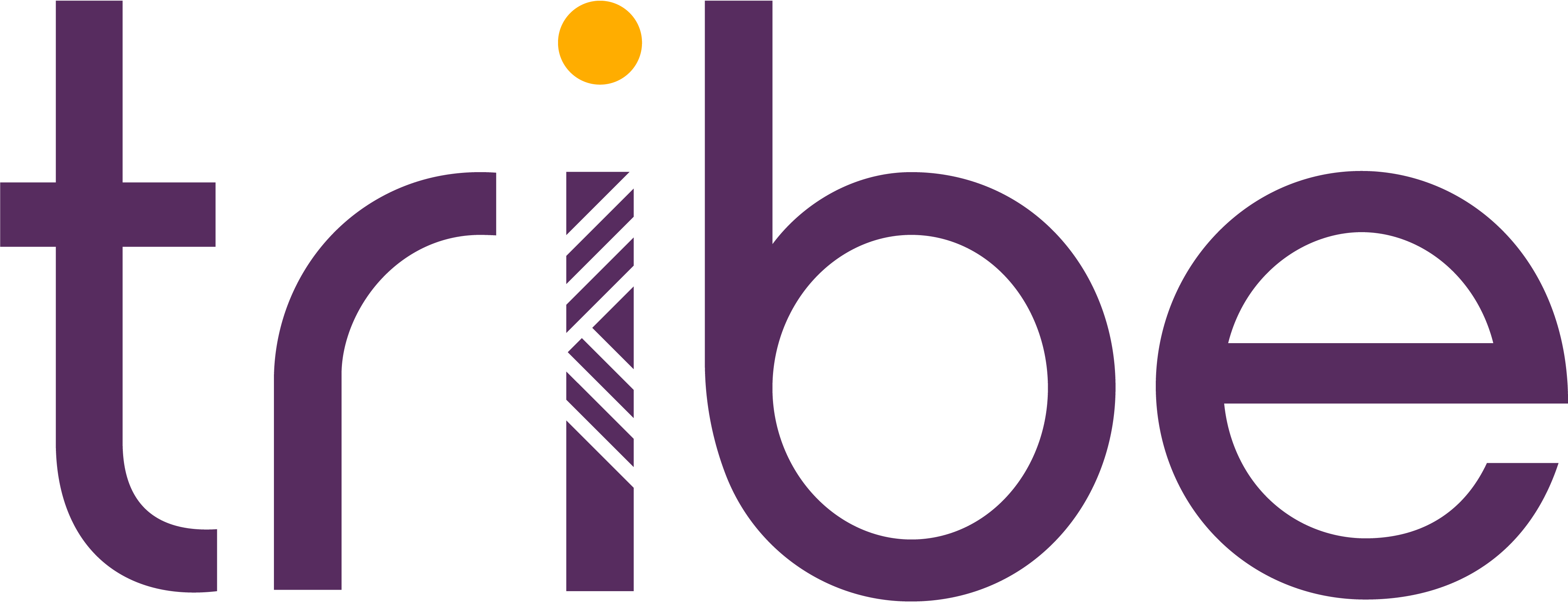 Tribe Payments