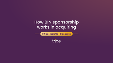 How BIN sponsorship works in acquiring