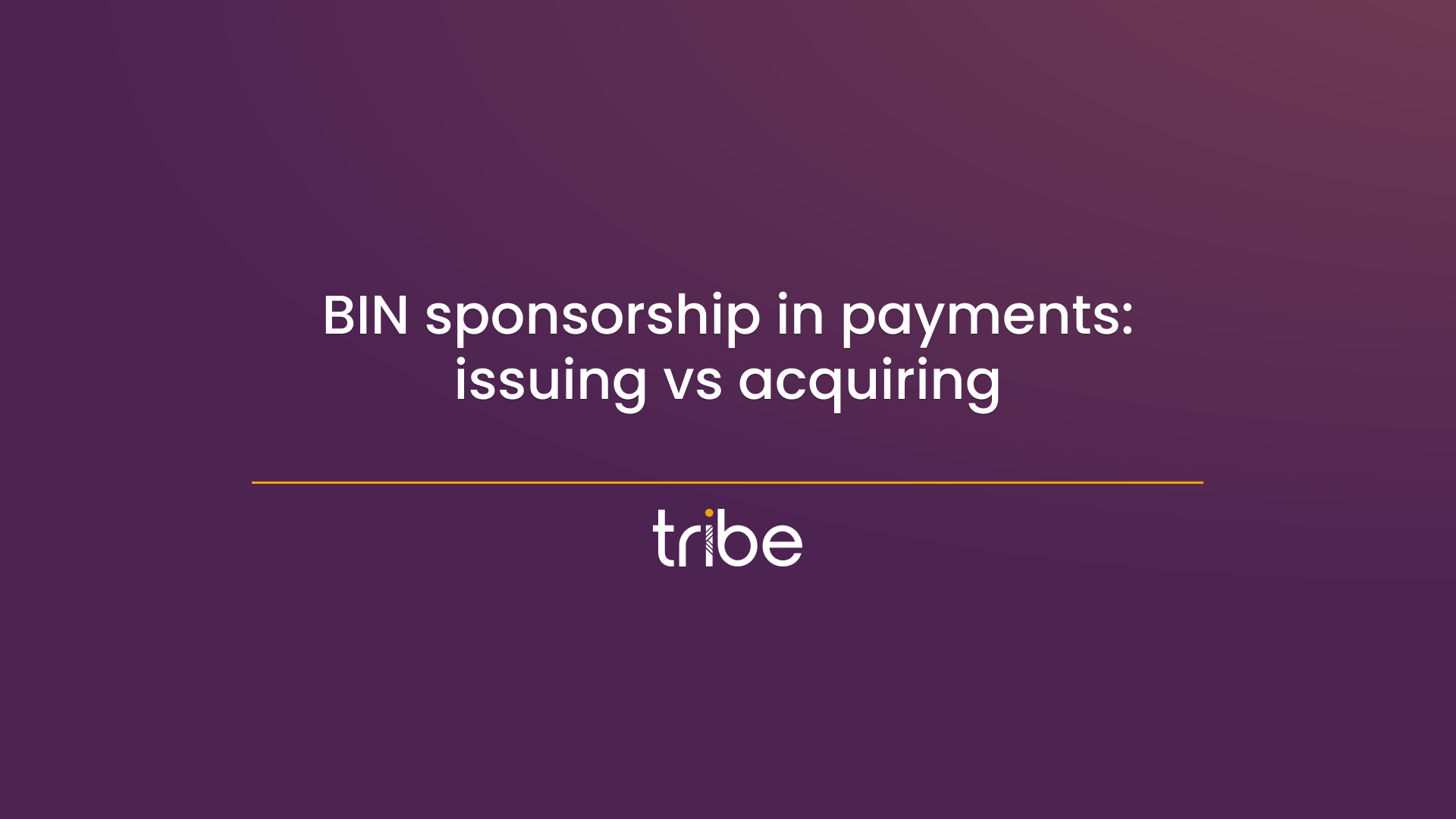 BIN sponsorship in payments - Tribe Payments blog
