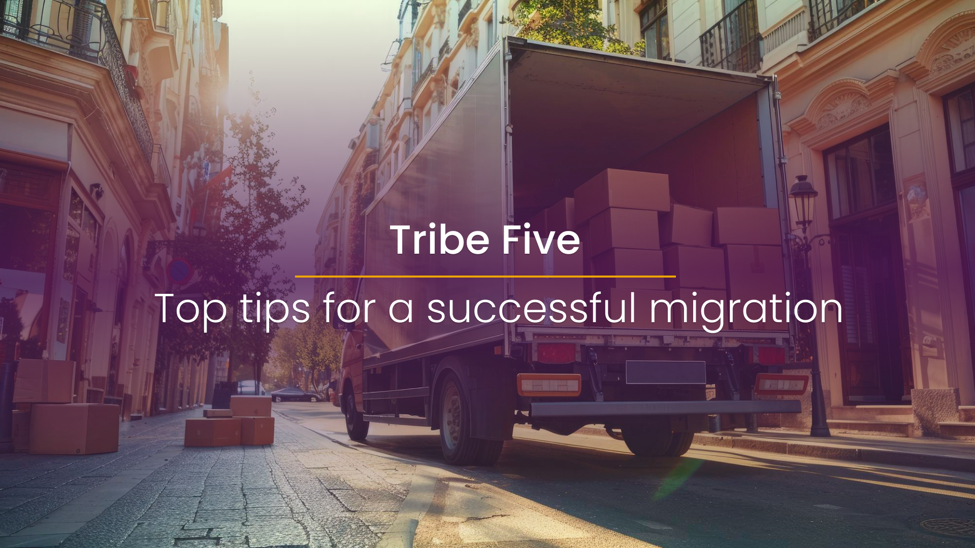 Tribe Five: Tops tips for a successful migration