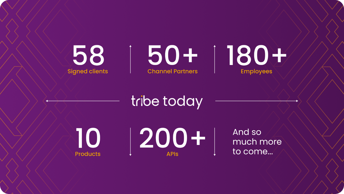 Tribe in numbers V2