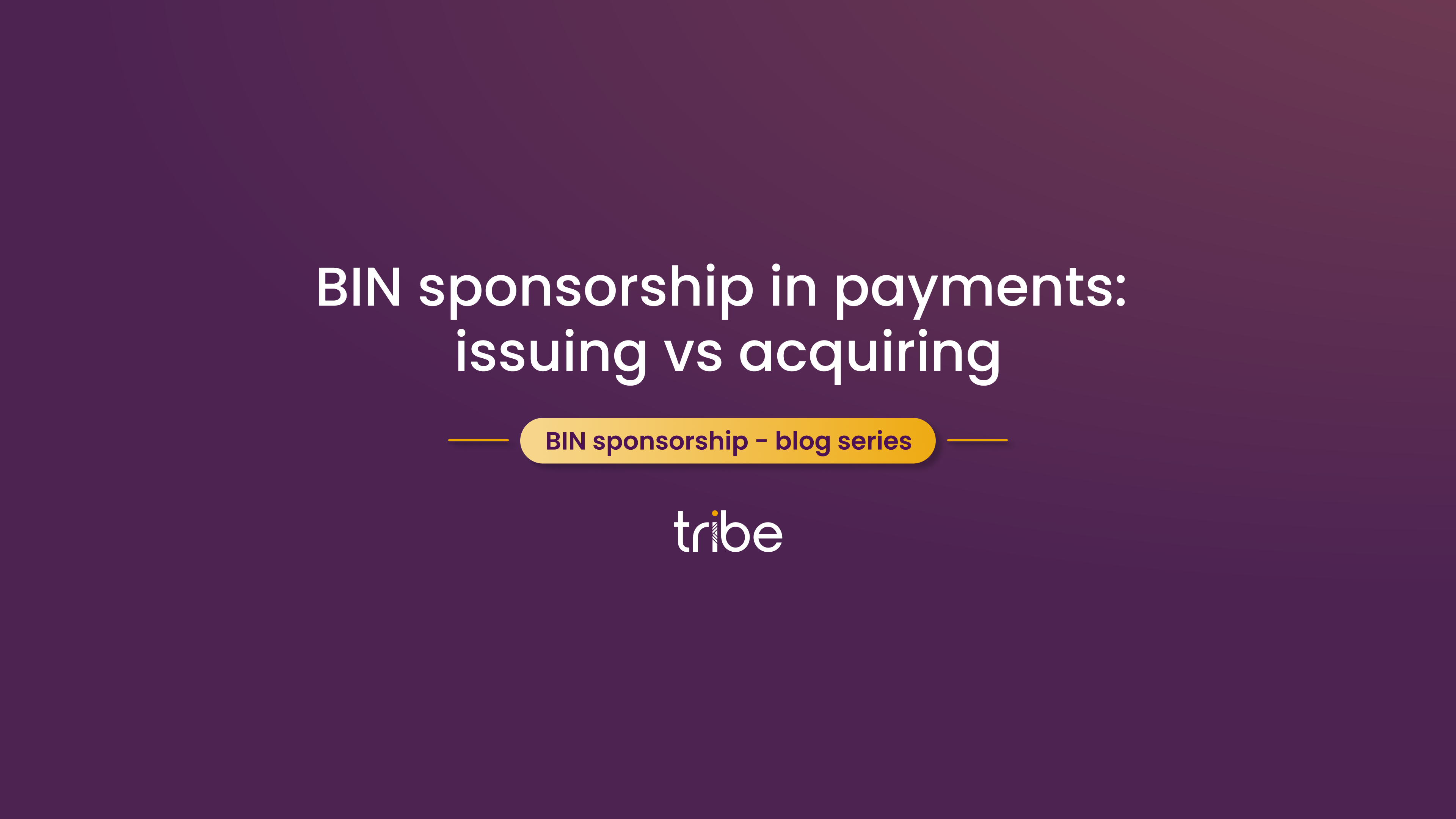 BIN sponsorship Tribe Payments