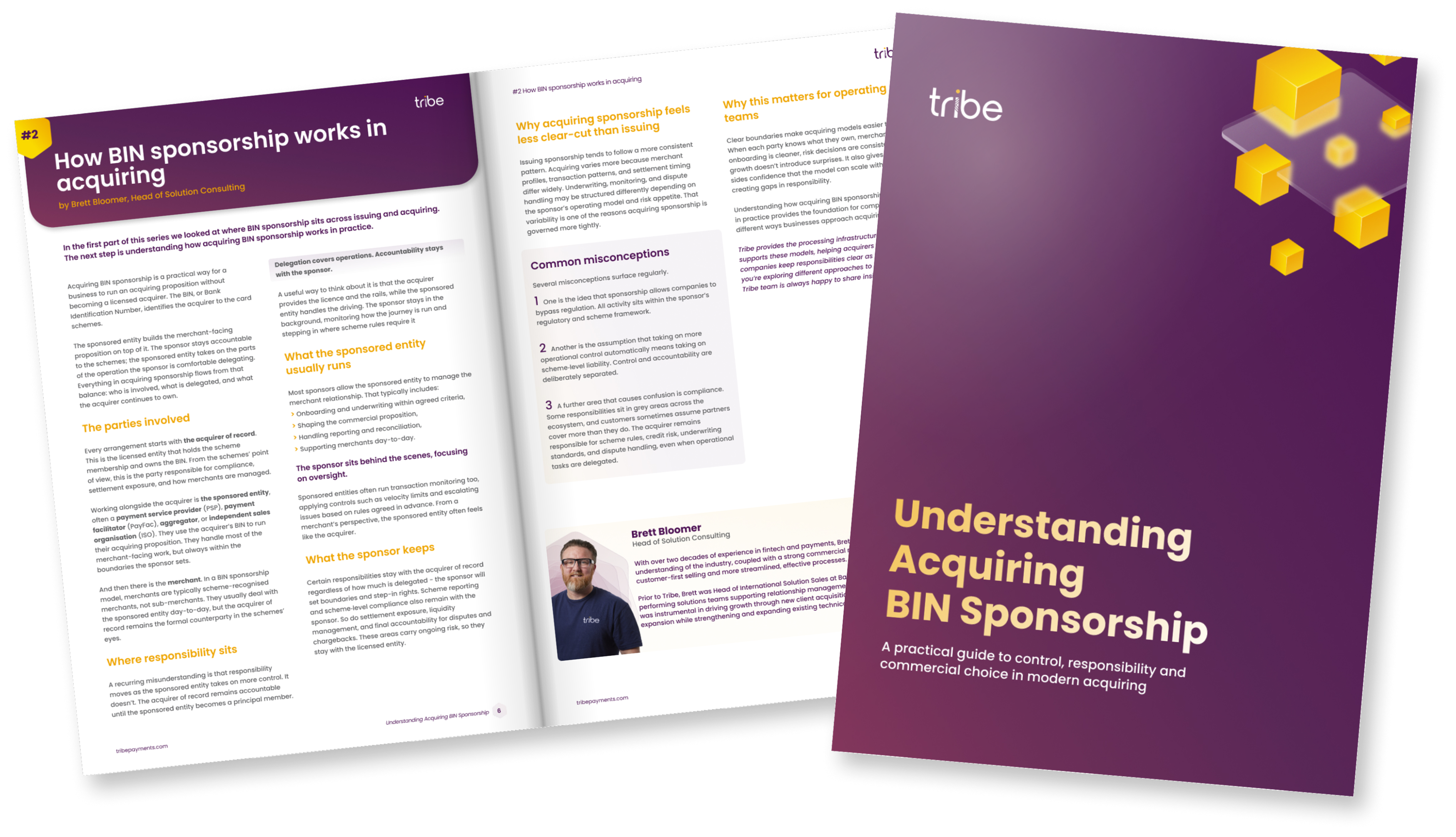 BIN sponsorship ebook