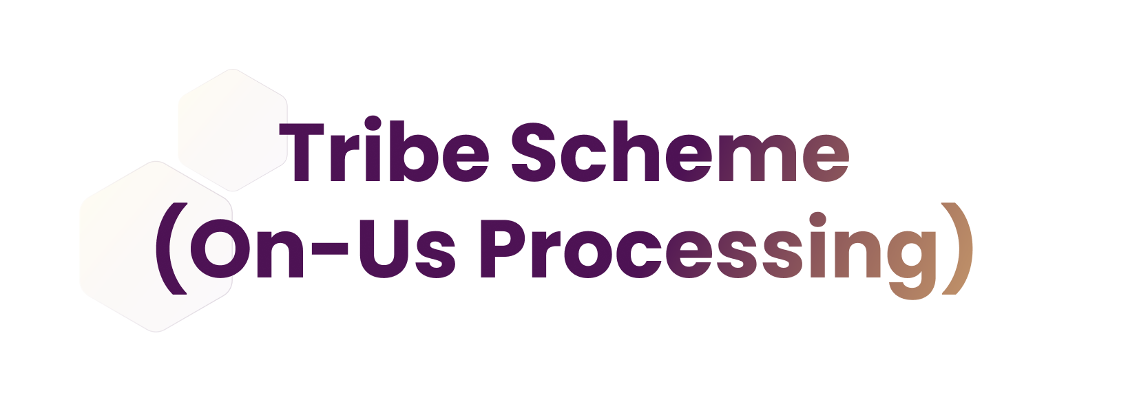 Tribe Scheme (On-Us Processing)